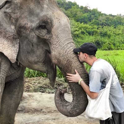 Chiang Mai, tesoros y elefantes #4