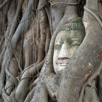 De paso por Ayutthaya #2